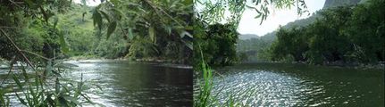 Crysis vs reality